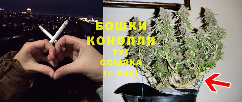 Бошки марихуана OG Kush  продажа наркотиков  Тобольск 